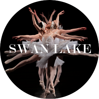 banner_swanlake